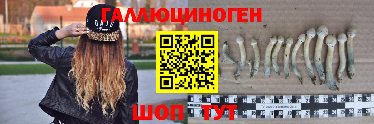 Псилоцибиновые грибы Cubensis Первоуральск